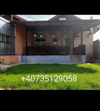 Central City House Tulcea Exterior foto
