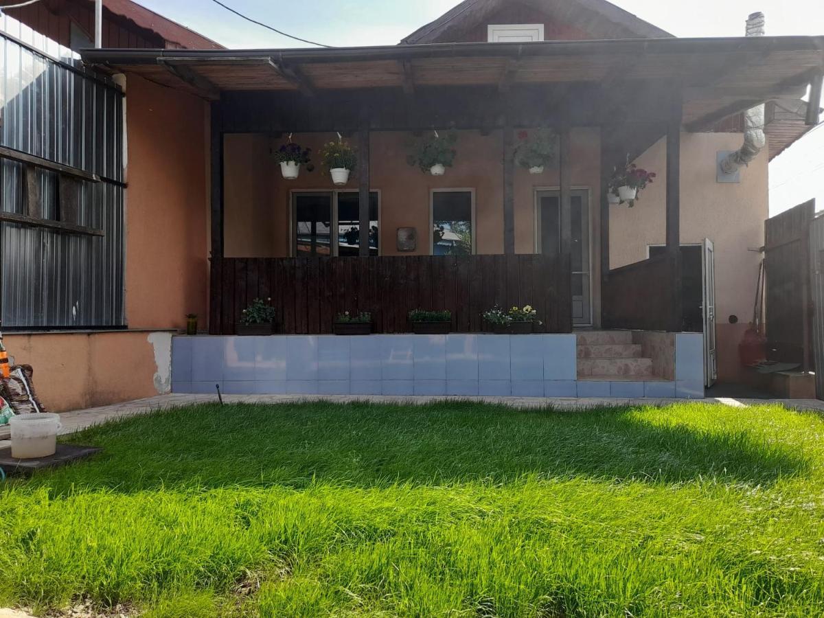 Central City House Tulcea Exterior foto