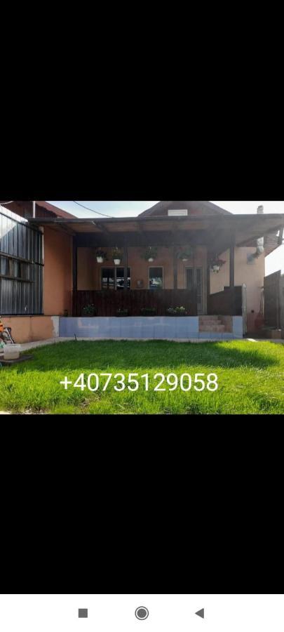 Central City House Tulcea Exterior foto